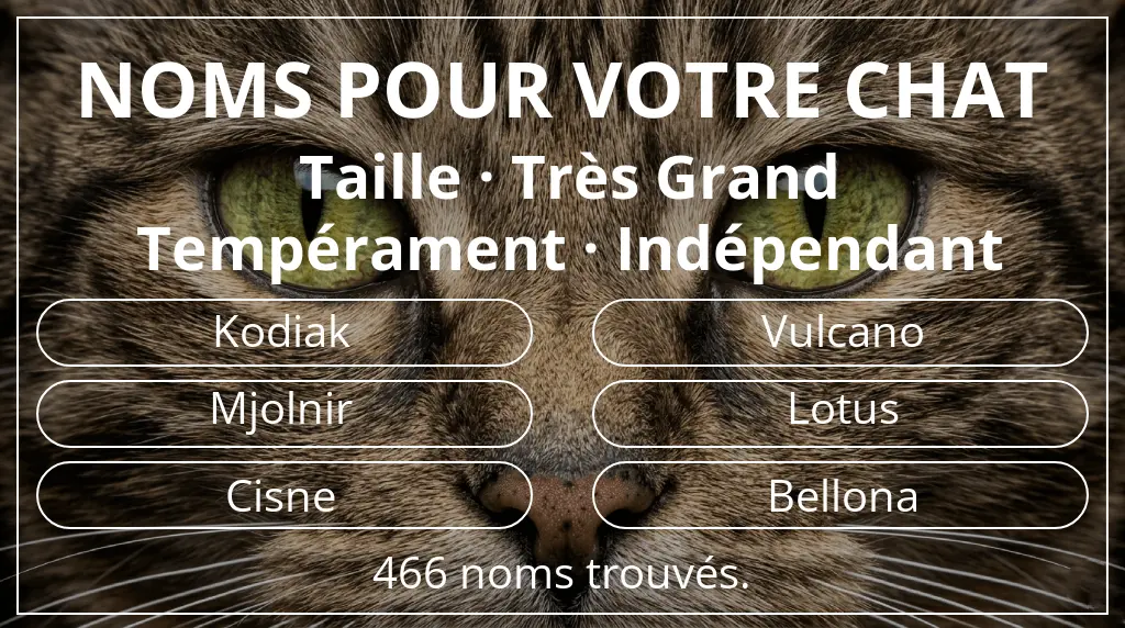 Noms pour chats inspirés de taille très grand et tempérament indépendant