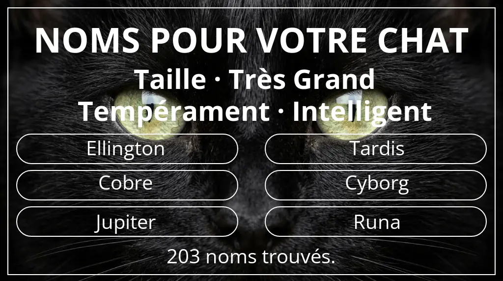 Noms de chats en lien avec taille très grand et tempérament intelligent