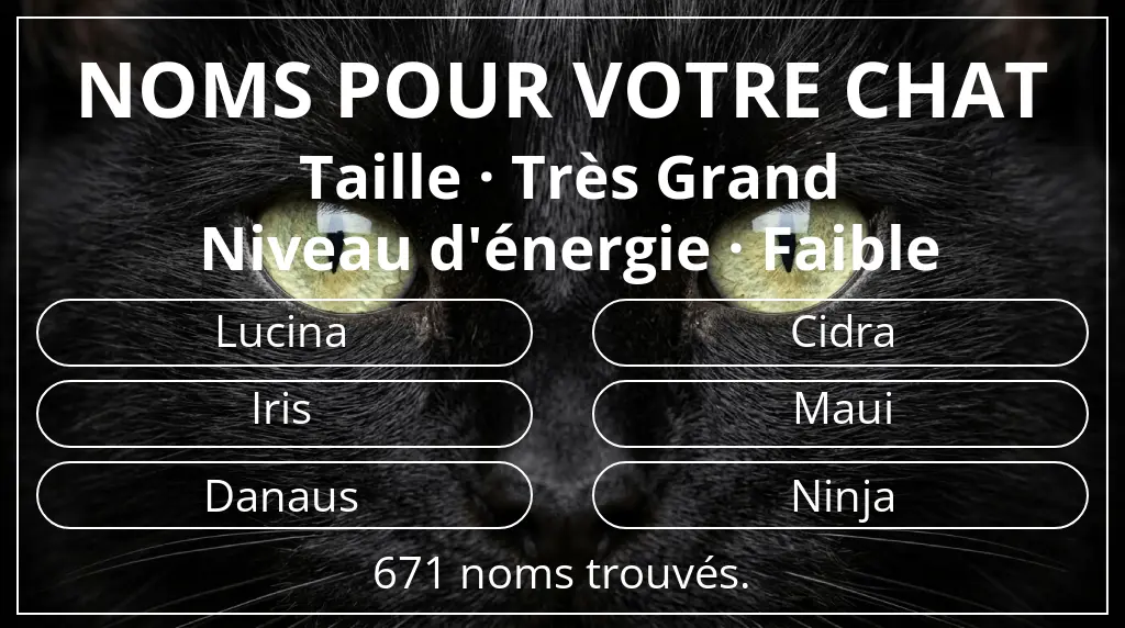 Noms félins inspirés de taille très grand et niveau d'énergie faible