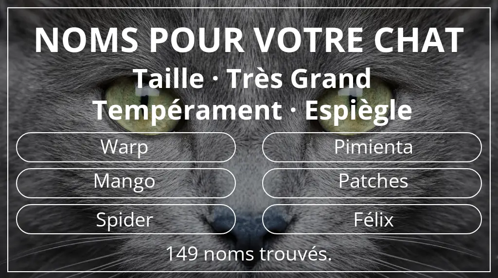 Noms de chats basés sur taille très grand et tempérament espiègle
