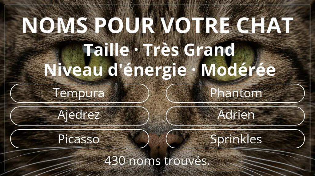 Noms félins en lien avec taille très grand et niveau d'énergie modérée