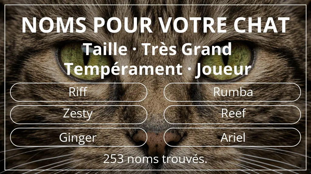 Noms pour chats basés sur taille très grand et tempérament joueur