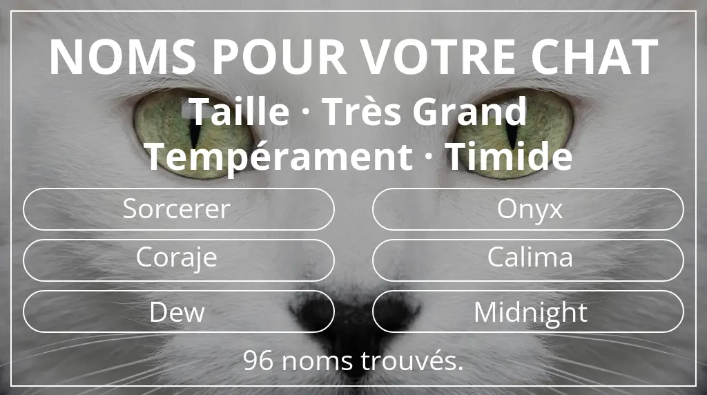 Noms de chats en lien avec taille très grand et tempérament timide