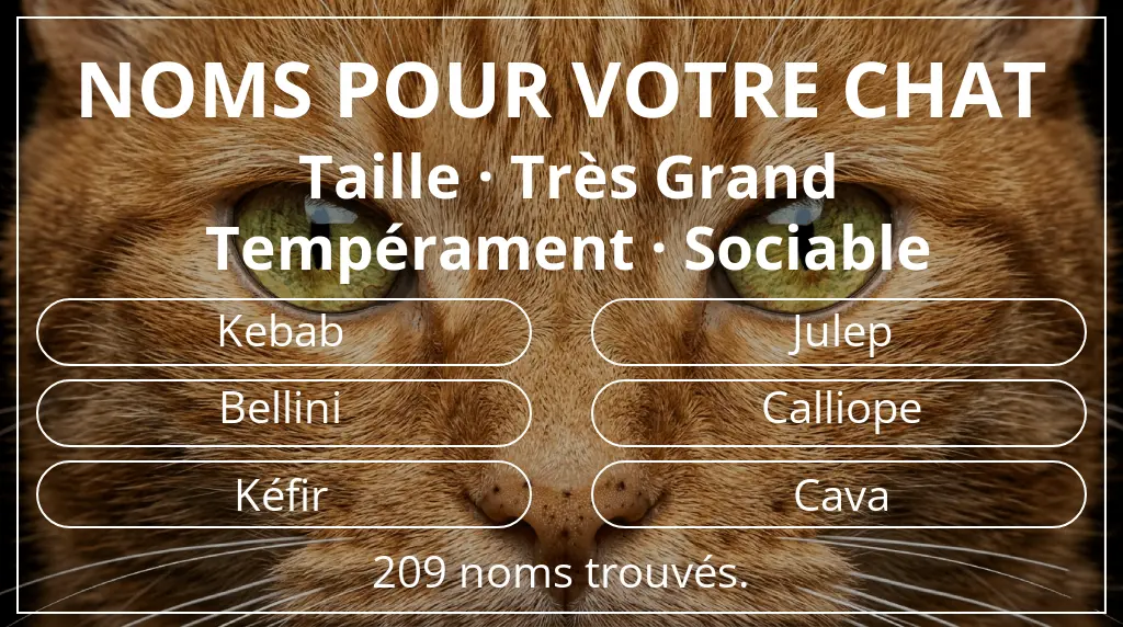 Noms de chats en lien avec taille très grand et tempérament sociable