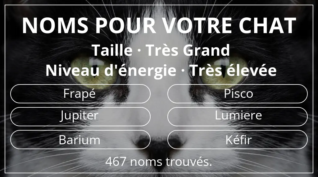 Noms pour chats en lien avec taille très grand et niveau d'énergie très élevée