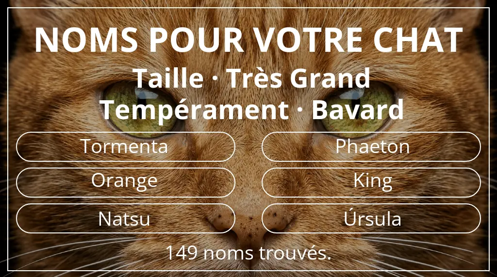 Noms pour chats basés sur taille très grand et tempérament bavard