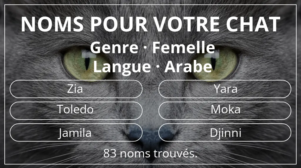Noms pour chats inspirés de genre femelle et langue arabe