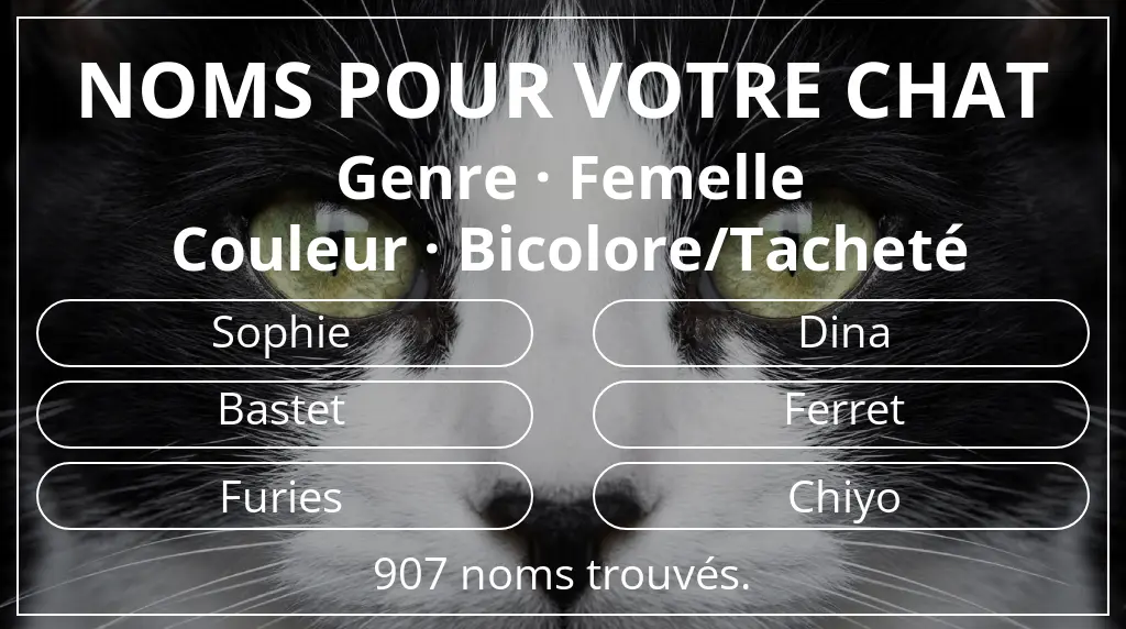 Noms de chats en lien avec genre femelle et couleur bicolore/tacheté