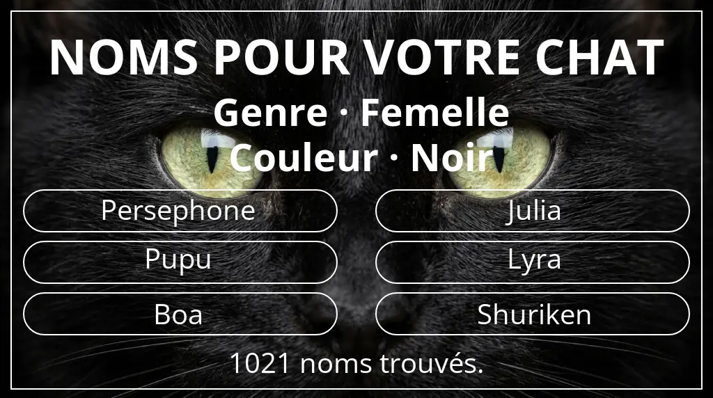 Noms de chats en lien avec genre femelle et couleur noir