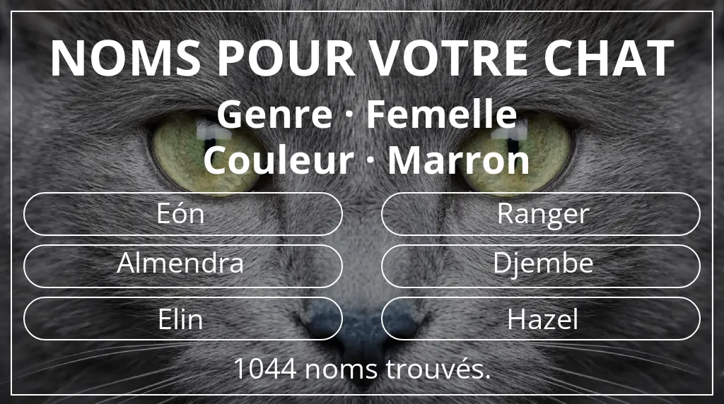 Noms de chats inspirés de genre femelle et couleur marron