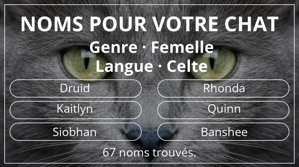 Noms de chats basés sur genre femelle et langue celte