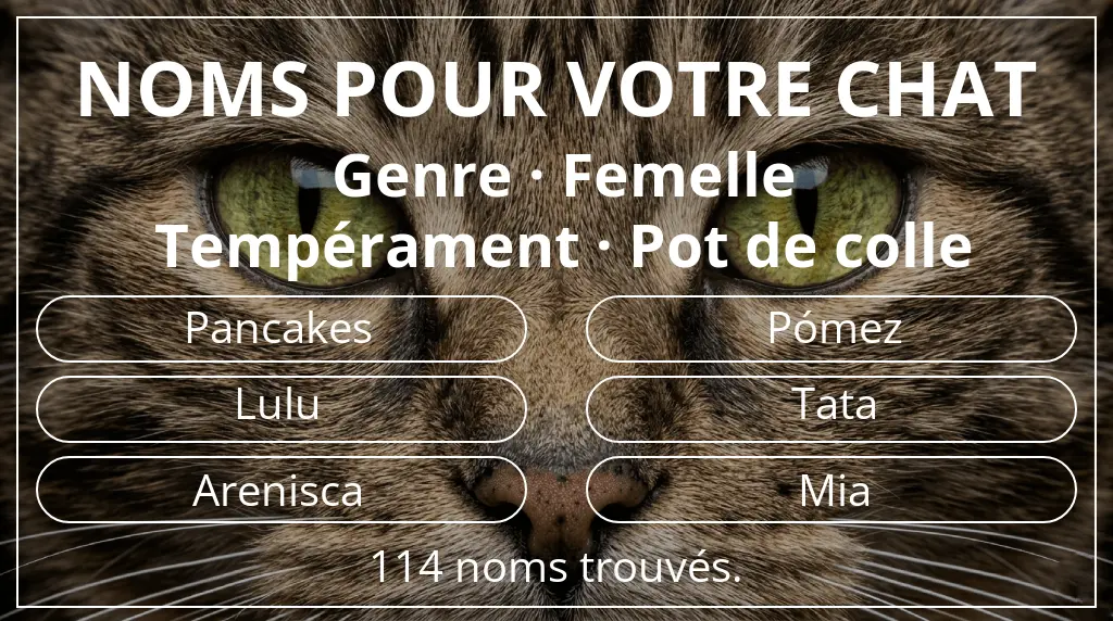 Noms félins basés sur genre femelle et tempérament pot de colle