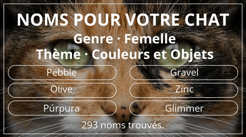 Noms pour chats basés sur genre femelle et thème couleurs et objets