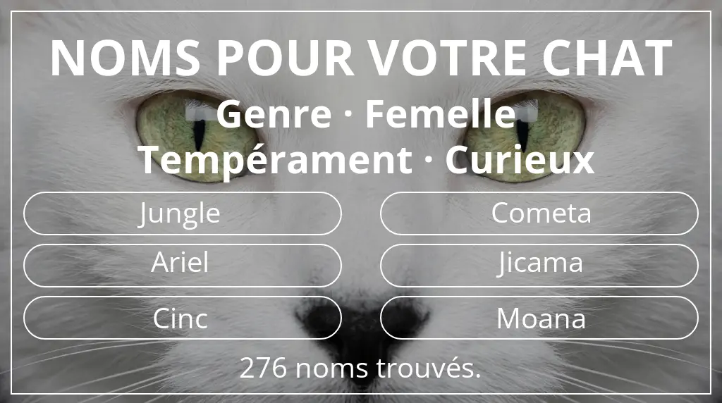 Noms de chats en lien avec genre femelle et tempérament curieux