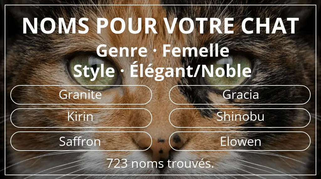 Noms pour chats inspirés de genre femelle et style élégant/noble