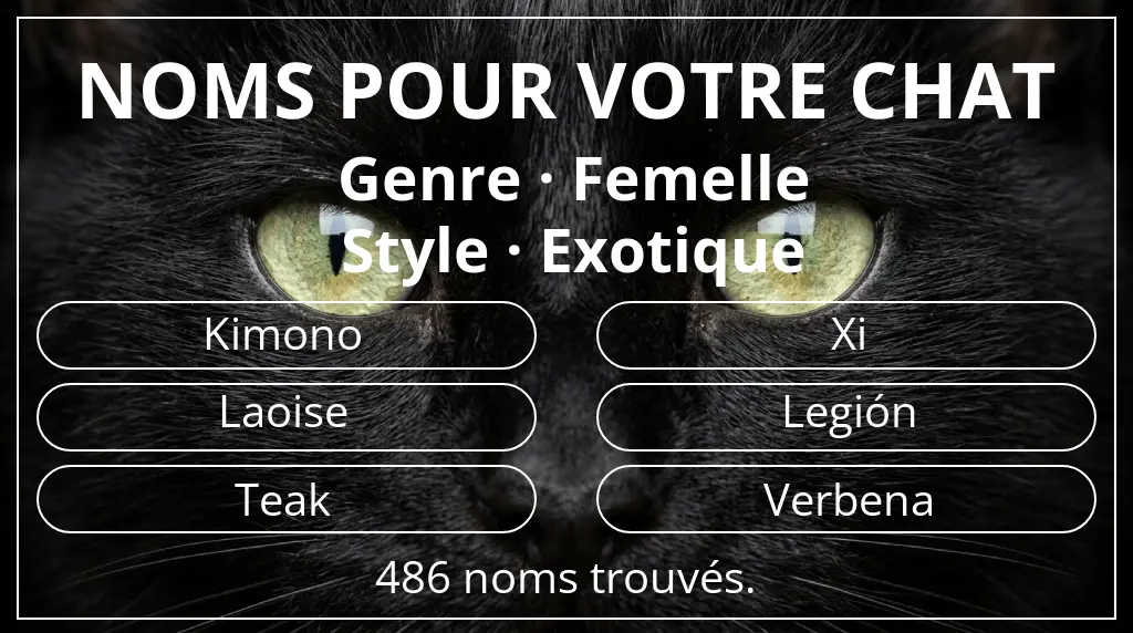 Noms de chats en lien avec genre femelle et style exotique