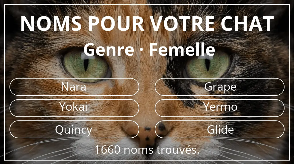Noms félins basés sur genre femelle