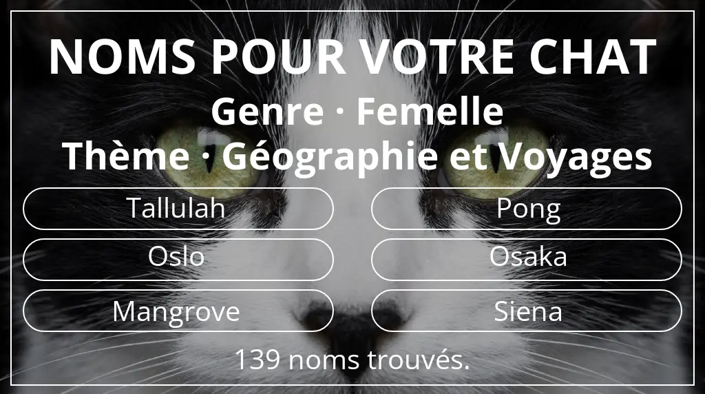 Noms de chats en lien avec genre femelle et thème géographie et voyages