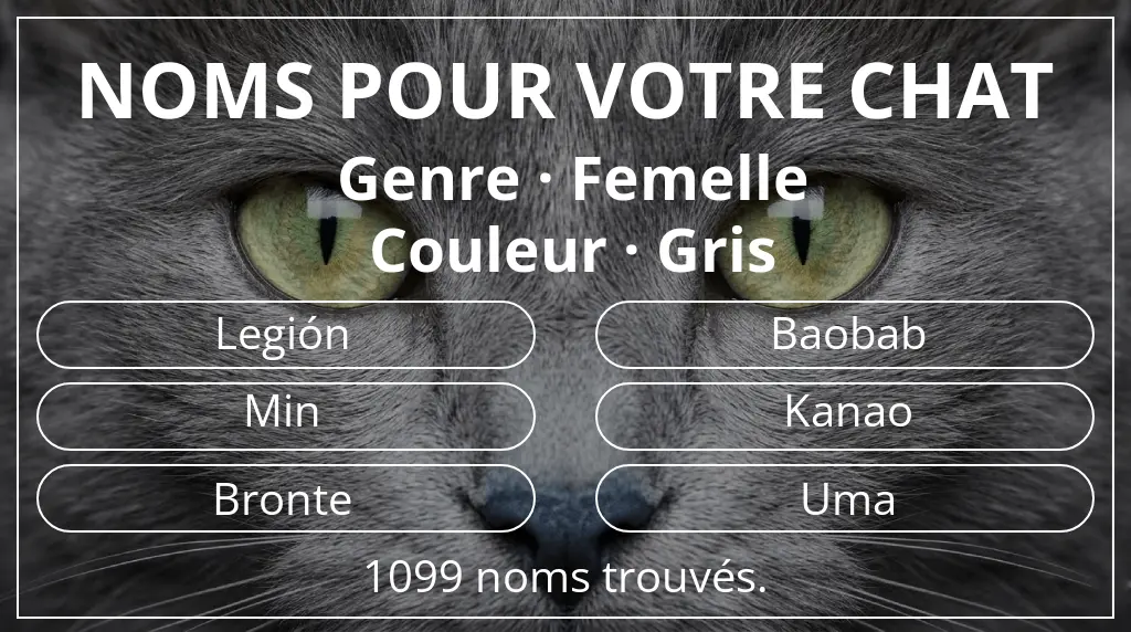 Noms de chats inspirés de genre femelle et couleur gris