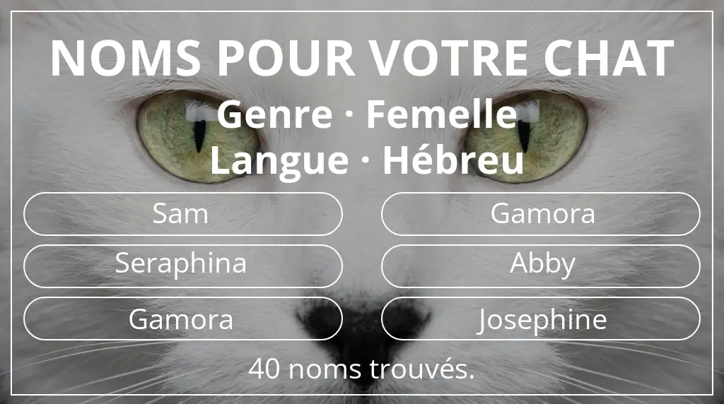 Noms félins basés sur genre femelle et langue hébreu