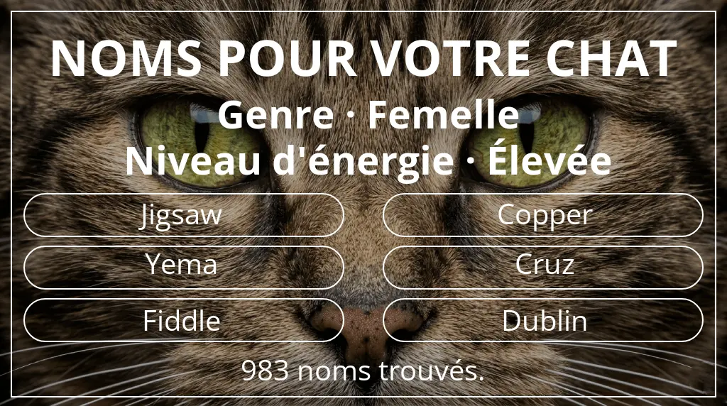 Noms pour chats en lien avec genre femelle et niveau d'énergie élevée