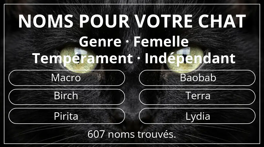 Noms félins inspirés de genre femelle et tempérament indépendant