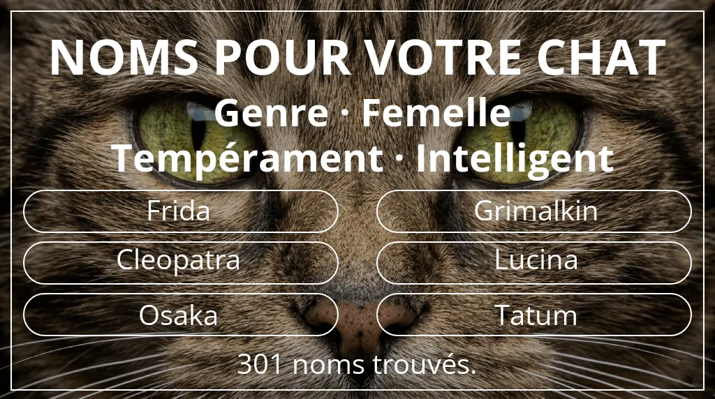 Noms de chats inspirés de genre femelle et tempérament intelligent