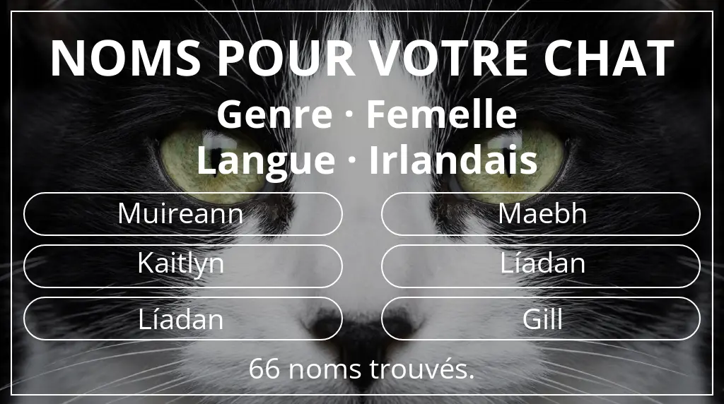 Noms pour chats inspirés de genre femelle et langue irlandais