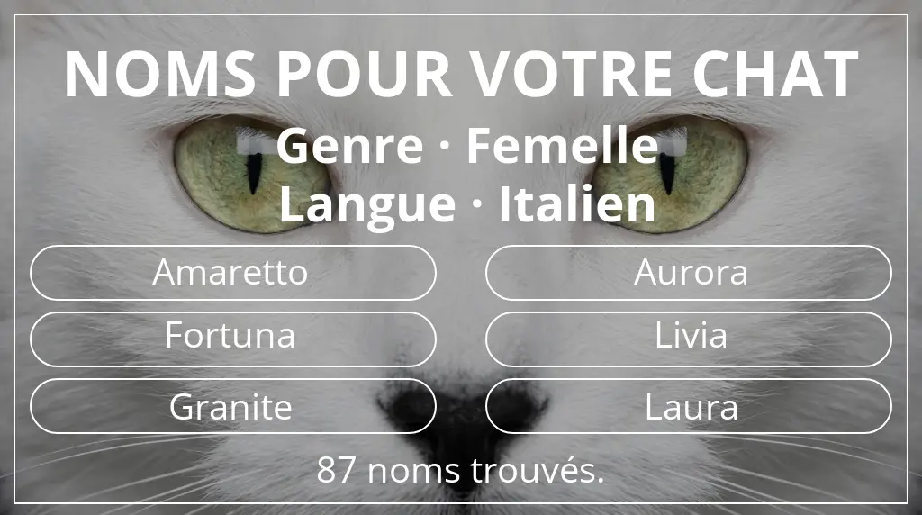 Noms pour chats en lien avec genre femelle et langue italien