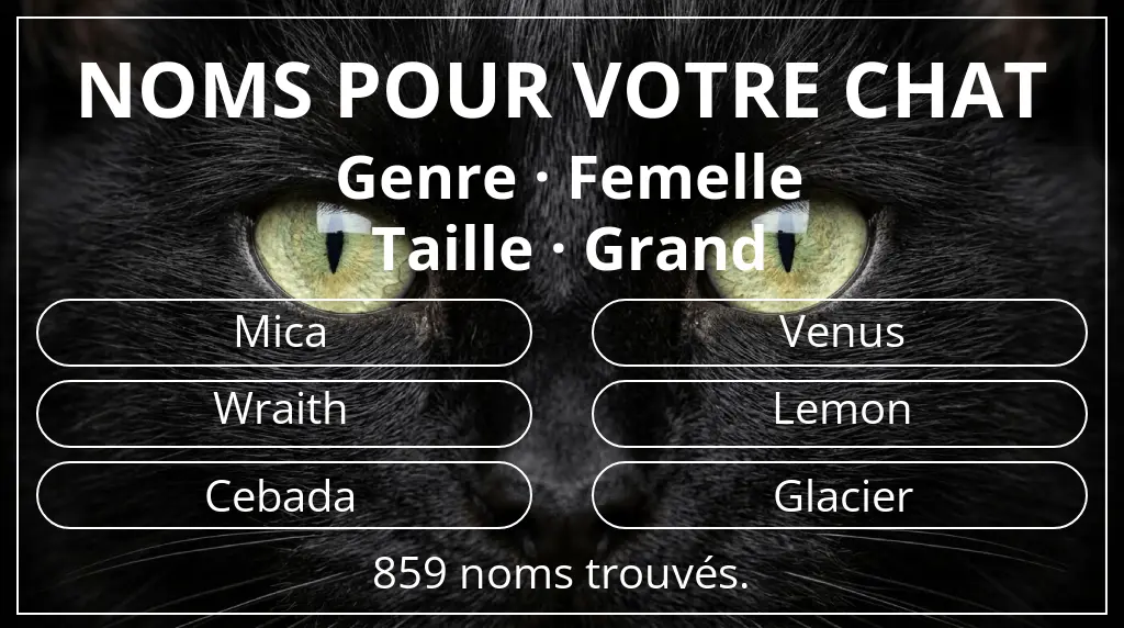 Noms pour chats inspirés de genre femelle et taille grand