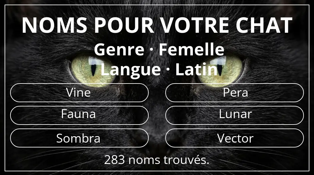 Noms de chats basés sur genre femelle et langue latin