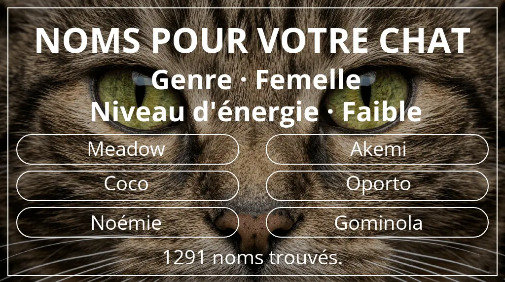 Noms de chats basés sur genre femelle et niveau d'énergie faible