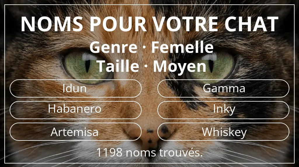 Noms pour chats en lien avec genre femelle et taille moyen