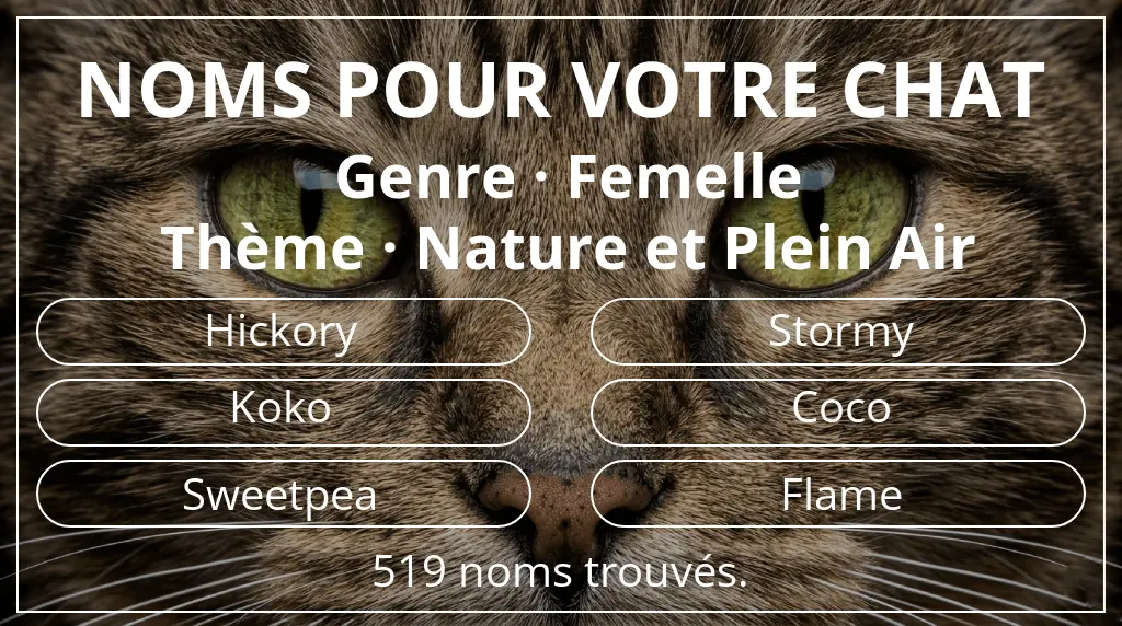 Noms de chats inspirés de genre femelle et thème nature et plein air