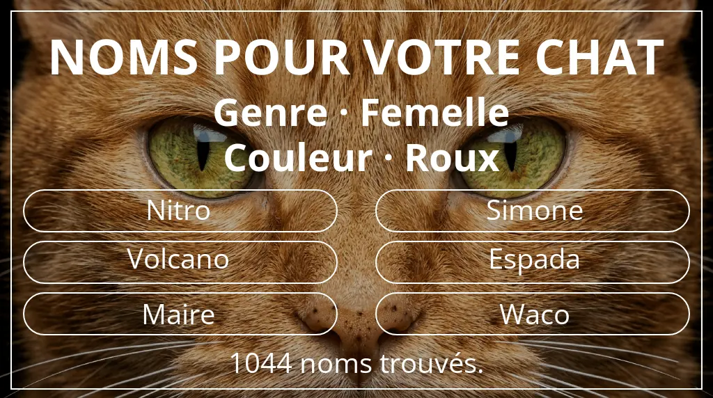 Noms de chats en lien avec genre femelle et couleur roux