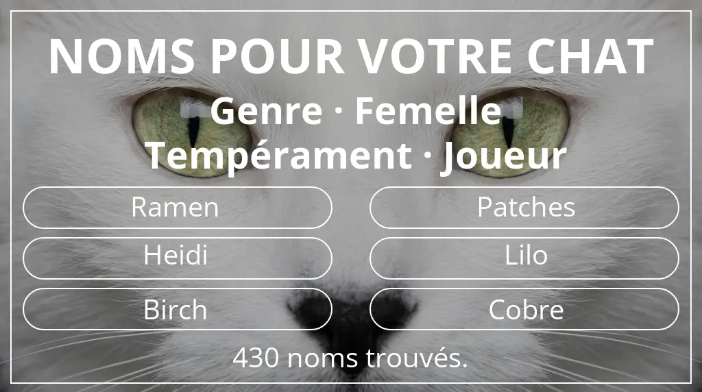 Noms de chats basés sur genre femelle et tempérament joueur