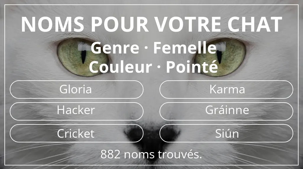 Noms de chats basés sur genre femelle et couleur pointé