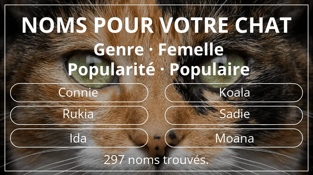 Noms pour chats inspirés de genre femelle et popularité populaire