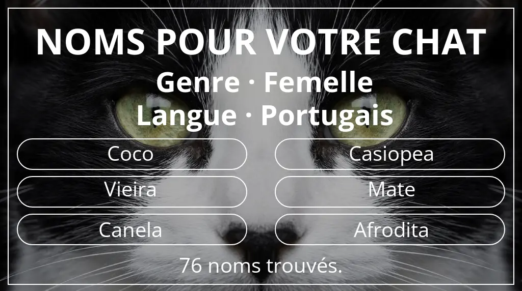 Noms félins inspirés de genre femelle et langue portugais