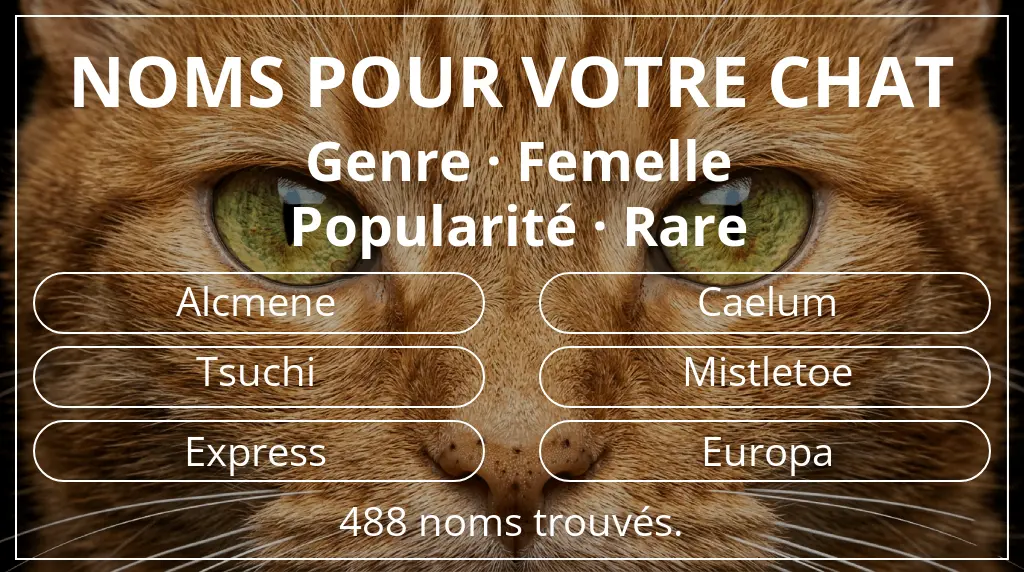 Noms félins inspirés de genre femelle et popularité rare