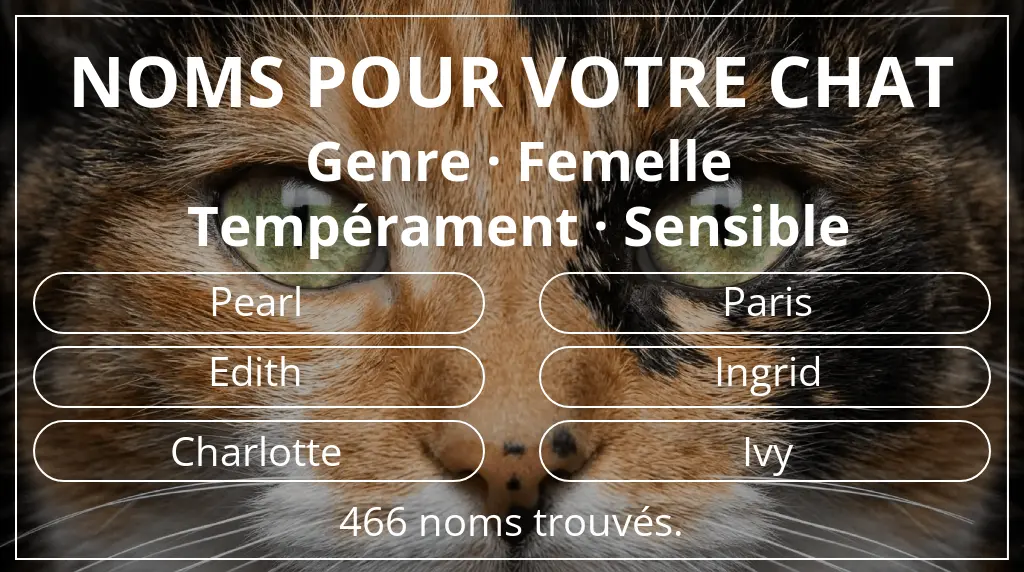 Noms pour chats basés sur genre femelle et tempérament sensible