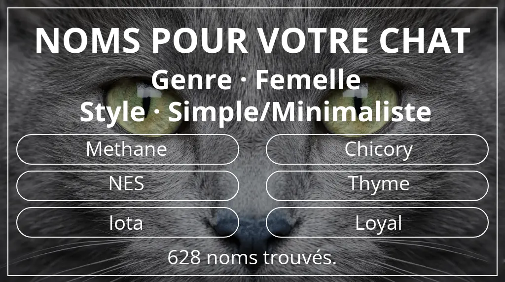 Noms félins inspirés de genre femelle et style simple/minimaliste