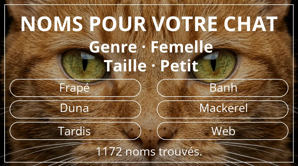 Noms félins inspirés de genre femelle et taille petit
