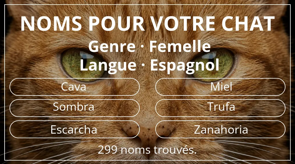 Noms de chats basés sur genre femelle et langue espagnol
