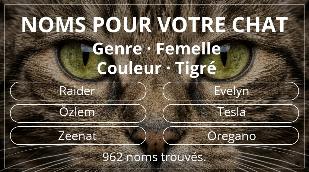 Noms de chats basés sur genre femelle et couleur tigré