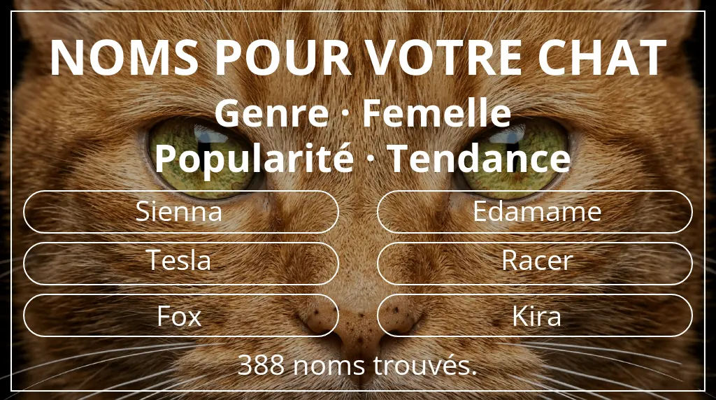 Noms de chats en lien avec genre femelle et popularité tendance