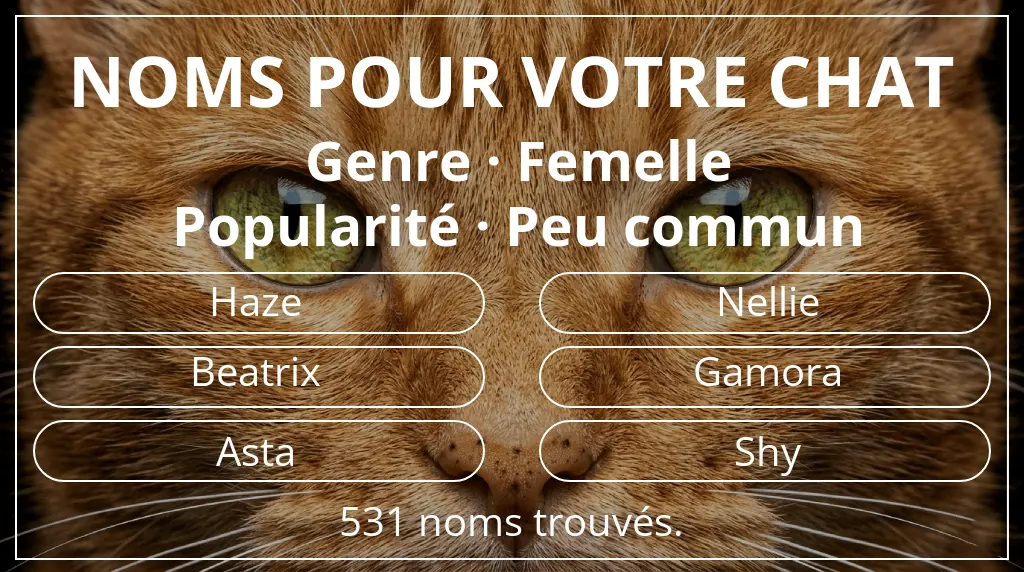 Noms de chats inspirés de genre femelle et popularité peu commun
