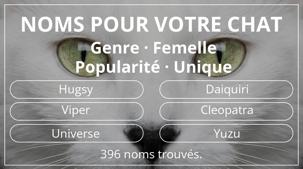 Noms de chats basés sur genre femelle et popularité unique