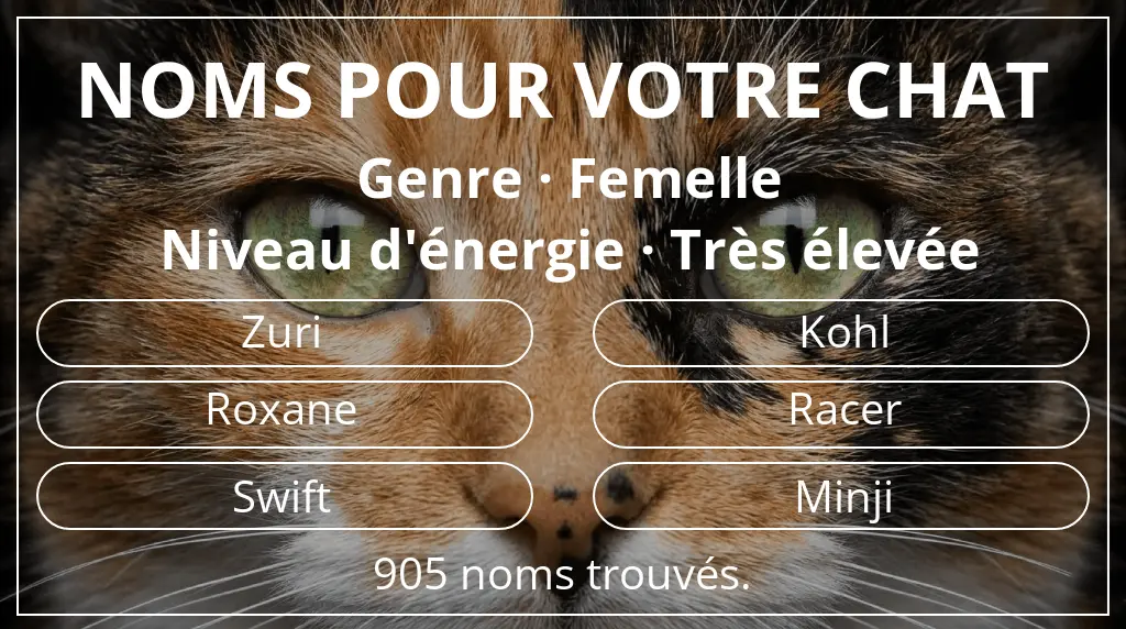 Noms félins inspirés de genre femelle et niveau d'énergie très élevée