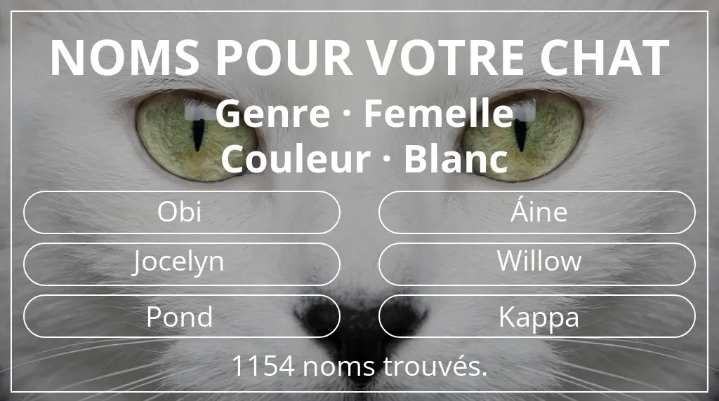 Noms de chats en lien avec genre femelle et couleur blanc
